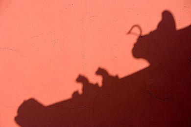 《雾锁王国》Steam特别好评 首发峰值超7万人